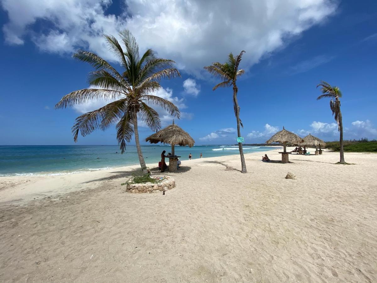 Luxury Ocean View Condo @ Aruba'S Palm Beach Eksteriør billede