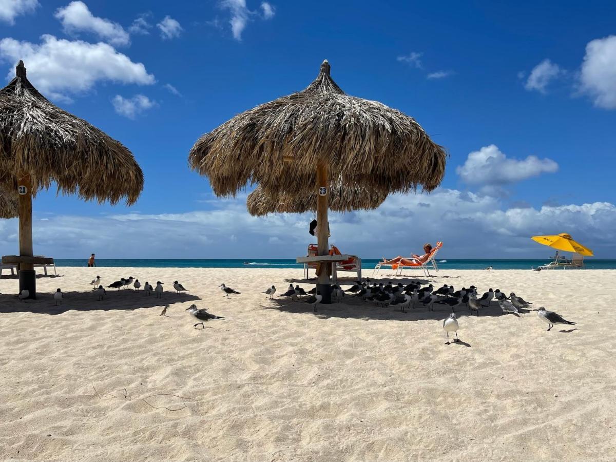 Luxury Ocean View Condo @ Aruba'S Palm Beach Eksteriør billede